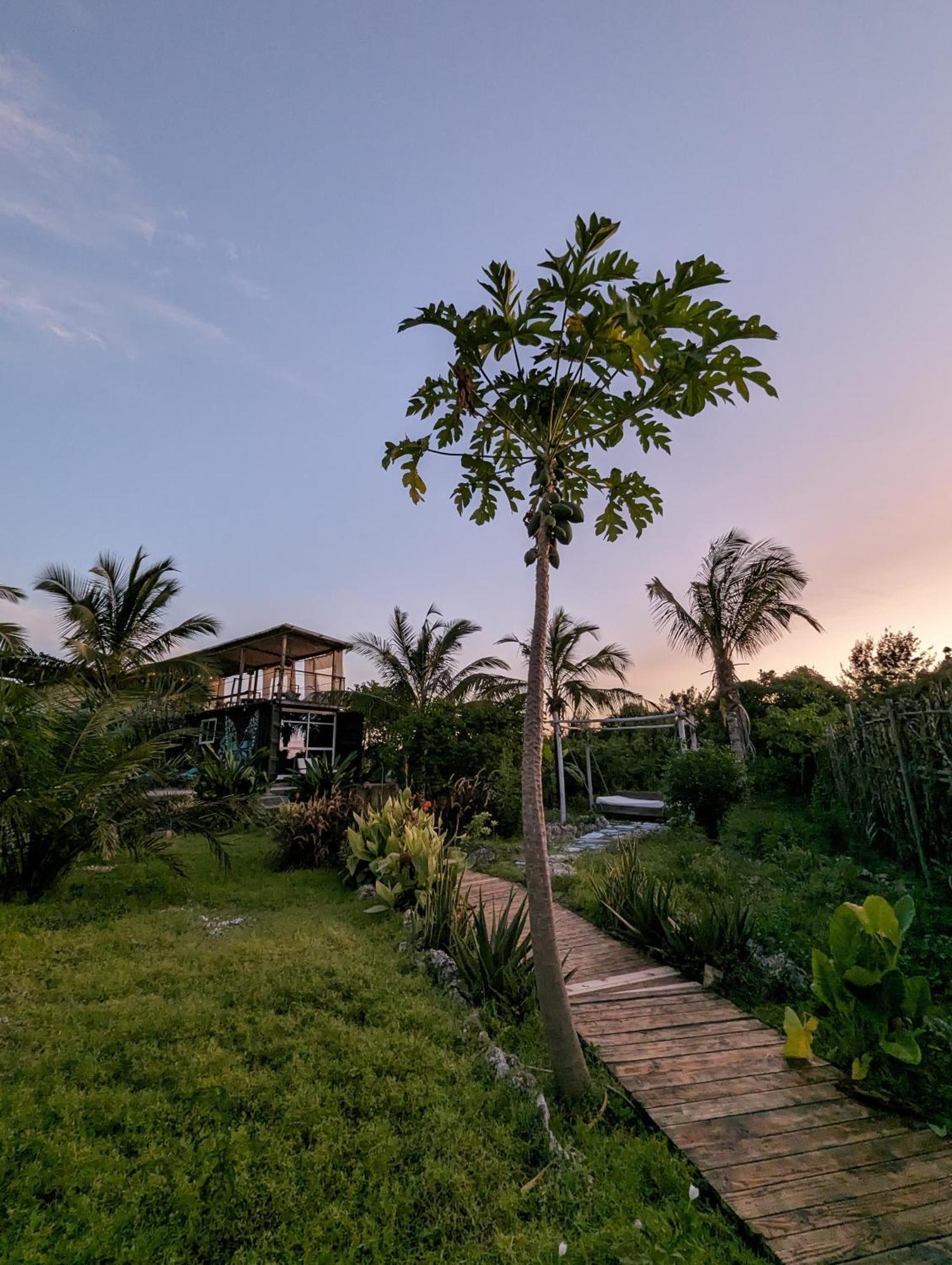 Jambiani Backpackers Hostel Bagian luar foto